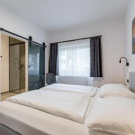 Leni 1 Apartament Dienten am Hochkönig